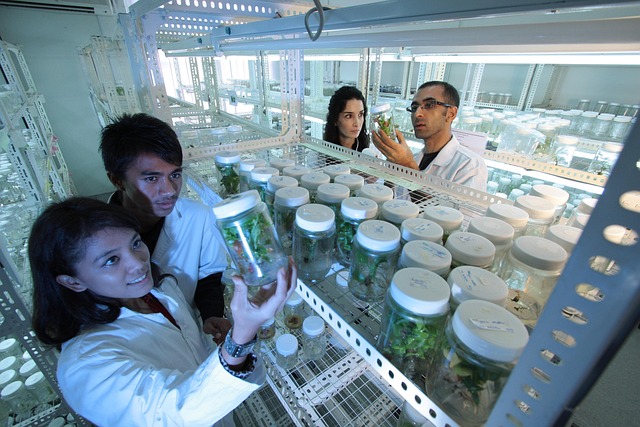 叔胺聚氨酯催化劑BL-17在制備高回彈、高彈性聚氨酯軟泡中的應用與性能研究